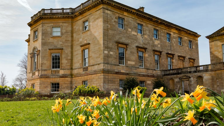 Daffodils in front of the house at Basildon Park in spring